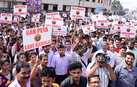 kambla ban protest